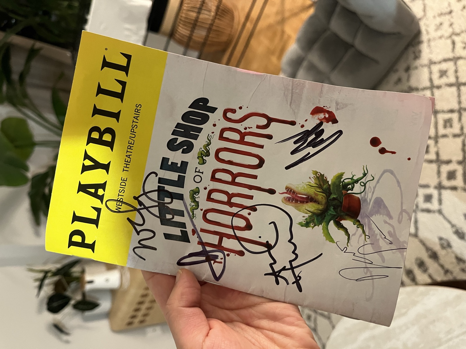Obsessed with a good New York show — Little Shop of Horrors five times, including the run with Constance Wu and Corbin Bleu