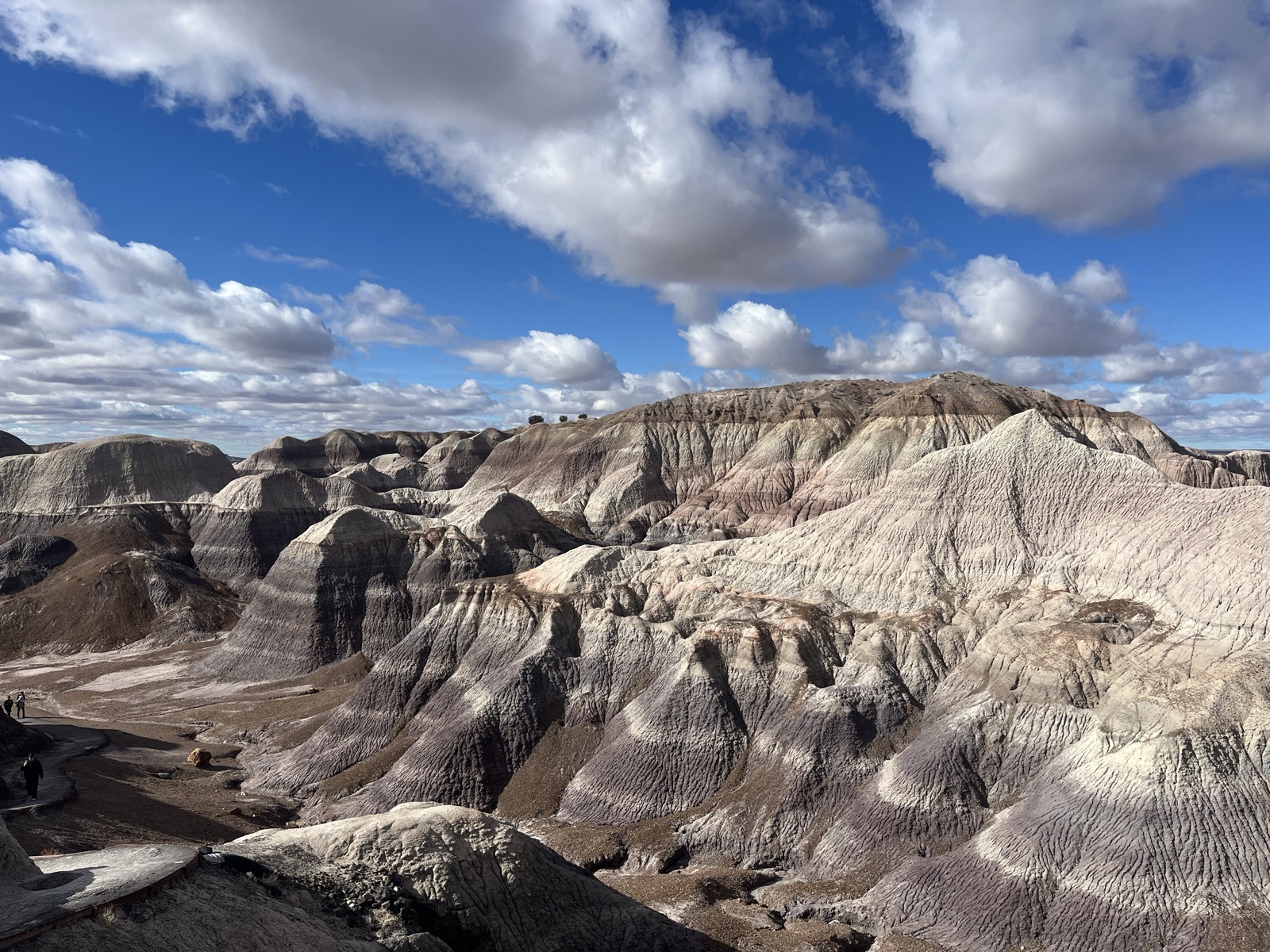 Being wowed by the otherworldly landscape at Petrified Forest National Park