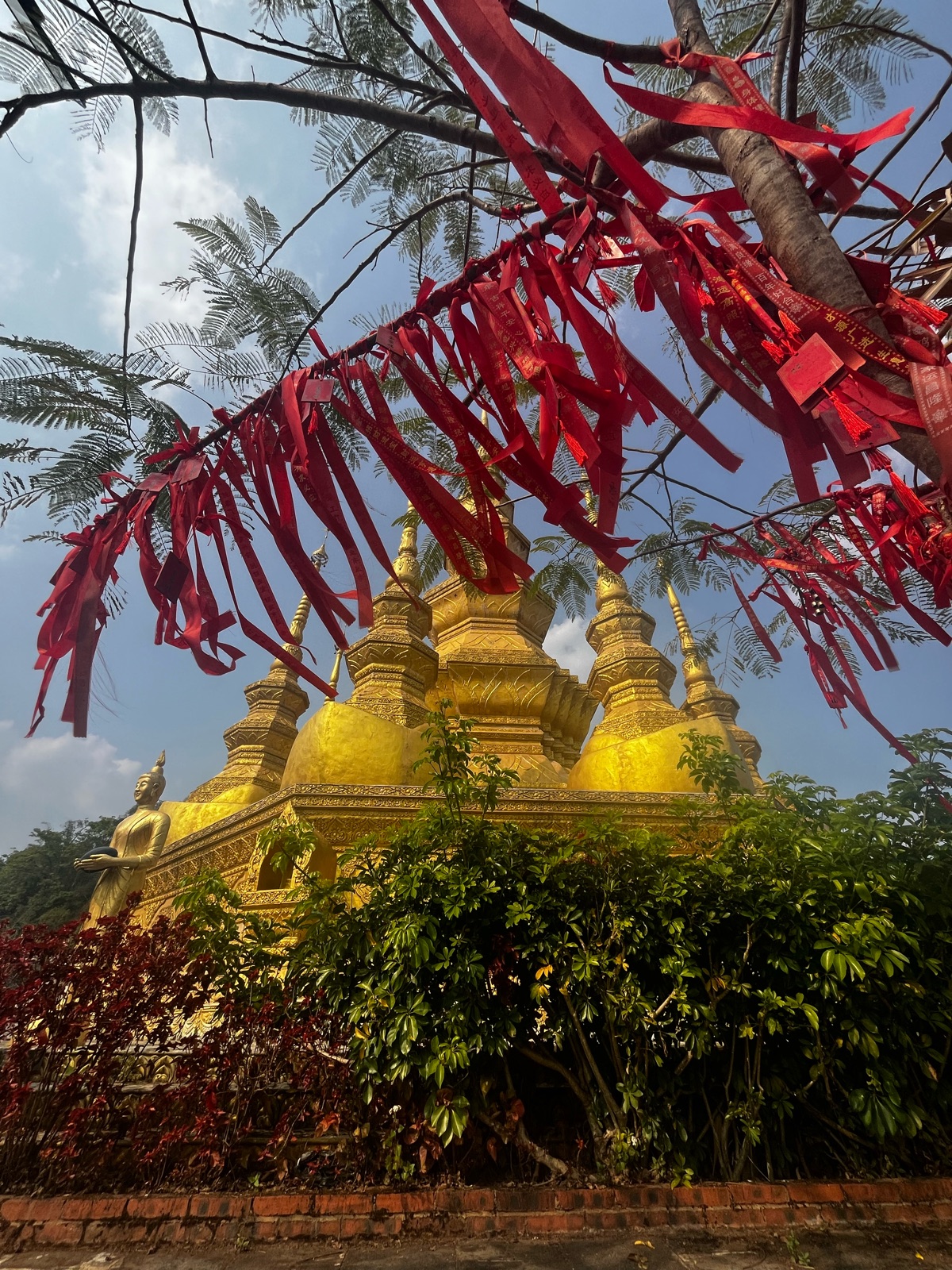 Struck by the majesty of the Dai Great Golden Pagoda on Jingmai Mountain
